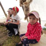 phoca_thumb_m_li mln 2 17 Fotogalerie